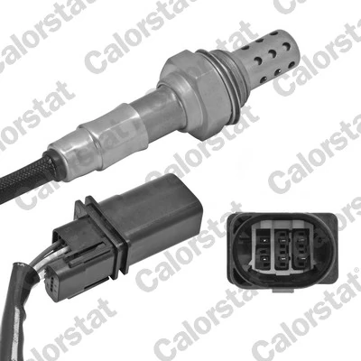 Oxygen Sensor